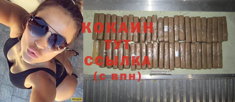 купить наркотики цена  Аткарск  COCAIN Fish Scale 