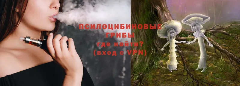 сколько стоит  Аткарск  blacksprut как зайти  Псилоцибиновые грибы Psilocybe 